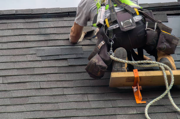 Best Metal Roofing Contractor  in Spring Arbor, MI