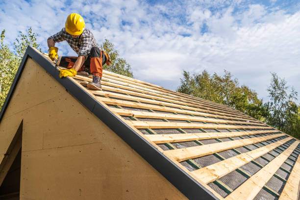 Best Metal Roofing Contractor  in Spring Arbor, MI