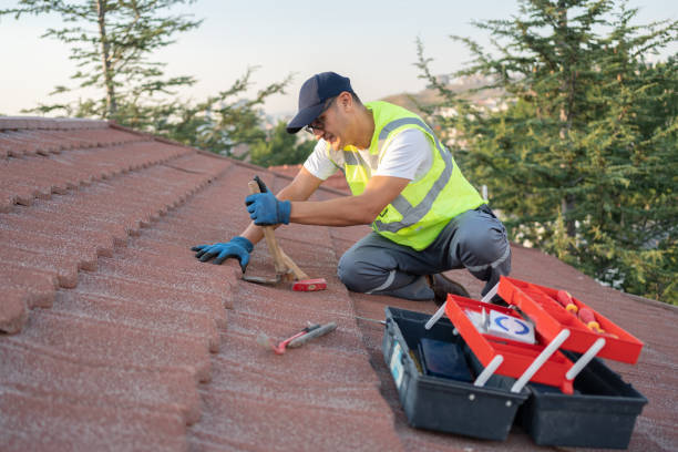 Best Roof Waterproofing Services  in Spring Arbor, MI