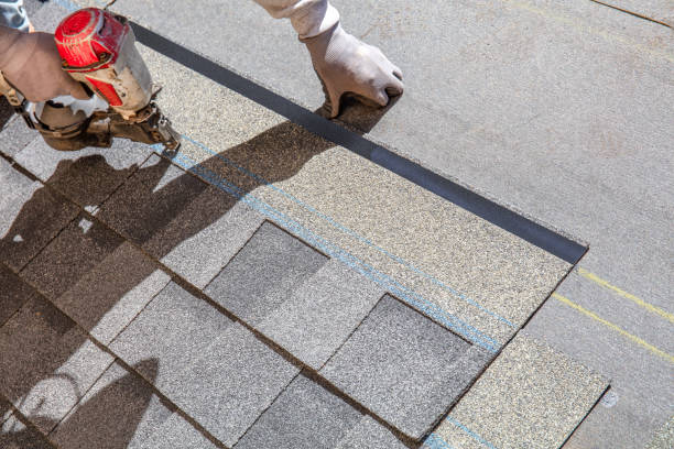 Best Roof Maintenance Services  in Spring Arbor, MI