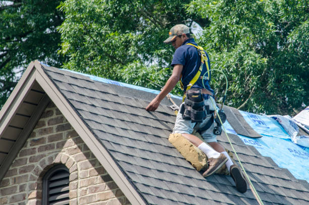 Best Local Roofing Companies  in Spring Arbor, MI